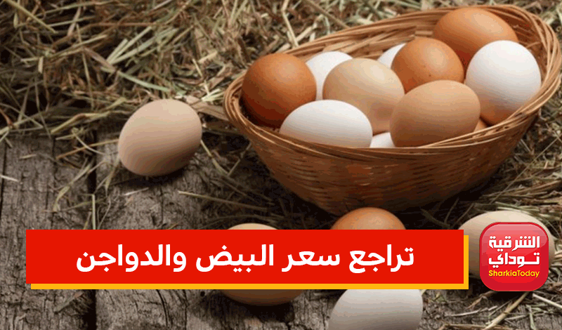 تراجع سعر البيض والدواجن .. بشرى قبل رمضان 1 تراجع سعر البيض والدواجن