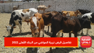 قرض تربية المواشي