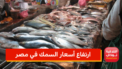 ارتفاع أسعار السمك في مصر اليوم 2 20