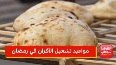 مواعيد تشغيل الأفران في رمضان رئيس شعبة المخابز يجيب 7 56656
