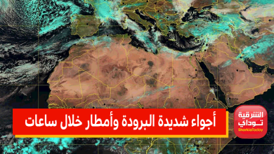 "لسه التقيل جاي".. الأرصاد تصدر بيانًا تحذيريًا: أمطار وأجواء شديدة البرودة تضرب هذه المناطق خلال ساعات 1 "لسه التقيل جاي".. الأرصاد تصدر بيانًا تحذيريًا: أمطار وأجواء شديدة البرودة تضرب مصر خلال ساعات