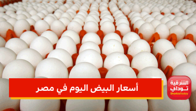 أسعار البيض اليوم في مصر
