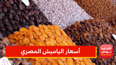 ارتفاع أسعار المشمشية والبلح والتين قبل رمضان 2 أسعار الياميش المصري