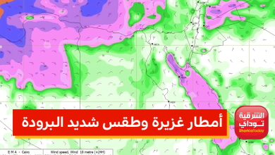 الأرصاد تُحذر: أمطار غزيرة وطقس شديد البرودة على هذه المناطق خلال ساعات 8 أمطار غزيرة وطقس شديد البرودة