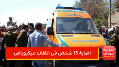 بالاسماء.. اصابة 13 شخص فى انقلاب ميكروباص في الشرقية 6 اصابة 13 شخص فى انقلاب ميكروباص