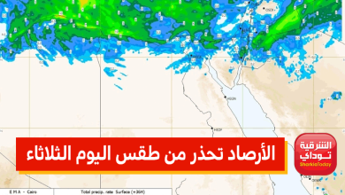 "الأمطار مكملة معانا شوية".. الأرصاد تحذر من طقس اليوم الثلاثاء.. وتكشف موعد تحسن حالة الجو 5 الأرصاد تحذر من طقس اليوم الثلاثاء.. وتكشف موعد تحسن حالة الجو