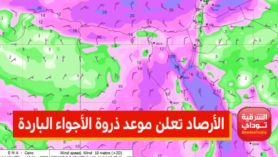 الأرصاد تصدم المواطنين بشأن طقس الأسبوع القادم.. وهذا موعد ذروة الأجواء الباردة 3 الأرصاد تعلن موعد ذروة الأجواء الباردة 4