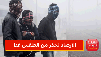 "القادم أسوأ" الارصاد تحذر من الطقس غدا.. انخفاض كبير بدرجات الحرارة وأمطار على هذه المناطق 7 الارصاد تحذر من الطقس غدا