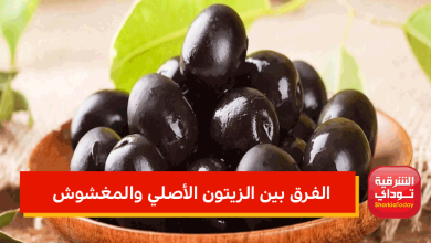 الفرق بين الزيتون الأصلي والمغشوش.. احذر المصبوغ بالورنيش "يدمر الصحة" 8 الفرق بين الزيتون الأصلي والمغشوش