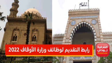 الوظائف