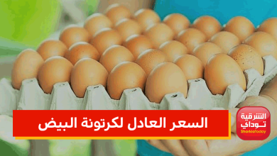 السعر العادل لكرتونة البيض