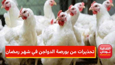 بورصة الدواجن في شهر رمضان