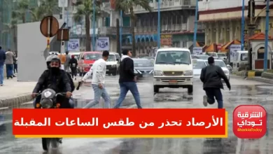 الأرصاد تحذر من طقس الساعات القادمة