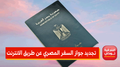 جواز سفر2