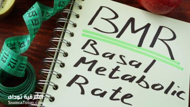 حاسبة BMR لحساب معدل الايض 10 حاسبة BMR