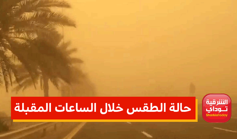 أتربة وأمطار .. الأرصاد تكشف حالة الطقس خلال الساعات المقبلة 1 حالة الطقس خلال الساعات المقبلة