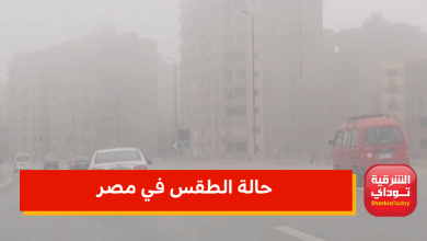 حالة الطقس في مصر