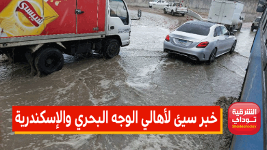 خبر سيئ لأهالي الوجه البحري والإسكندرية.. الأرصاد تحذر من حالة الطقس الخميس 5 الأرصاد تحذر من حالة الطقس الخميس