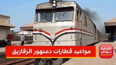 مواعيد قطارات دمنهور الزقازيق اليوم