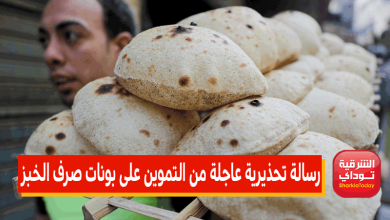 "توجهوا للمكاتب قبل 25 مارس".. رسالة تحذيرية عاجلة من التموين على بونات صرف الخبز 4 رسالة تحذيرية عاجلة من التموين على بونات صرف الخبز