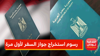 رسوم استخراج جواز السفر