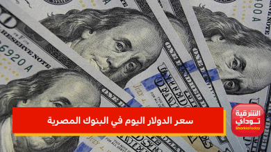 سعر الدولار اليوم في البنوك المصرية
