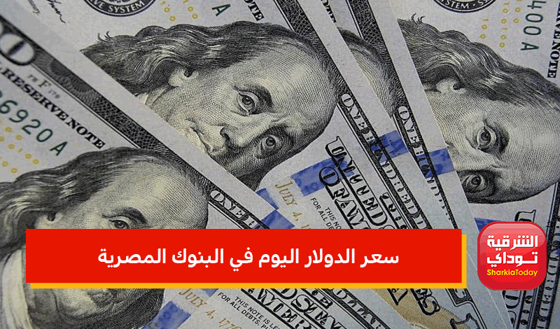 المصرية فى البنوك سعر الدولار اليوم سعر الدولار