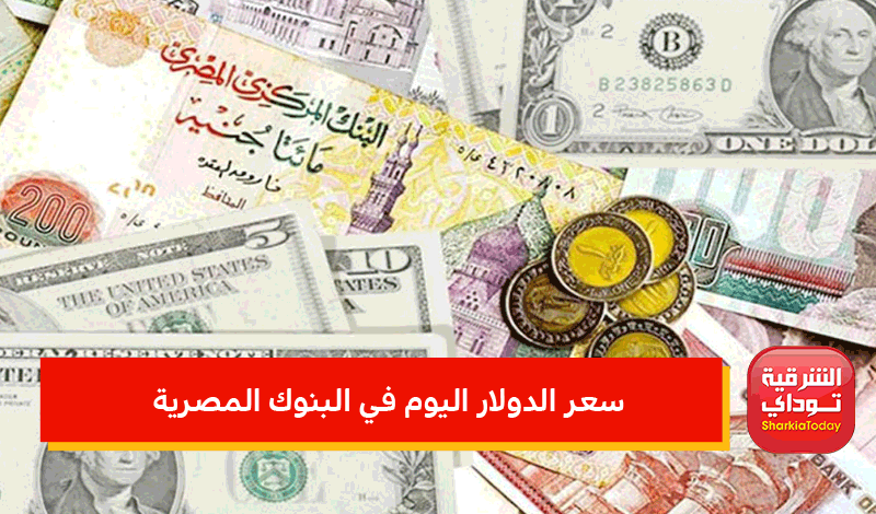 السوداء مصر السوق في اليوم سعر في 365 الدولار سعر الدولار