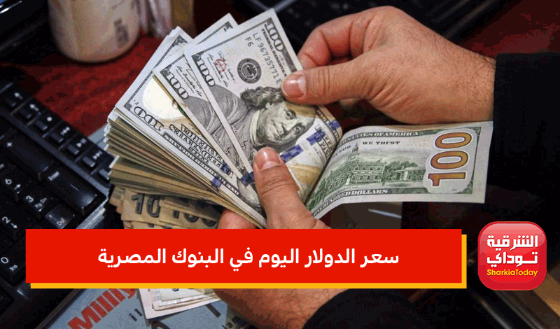 سعر الدولار اليوم في مصر تحديث يومي بنك مصر