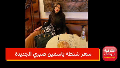 سعر شنطة ياسمين صبري الجديدة