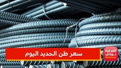 بعد ارتفاع أسعاره.. ننشر لكم سعر طن الحديد اليوم الأحد بجميع المصانع 4 سعر طن الحديد