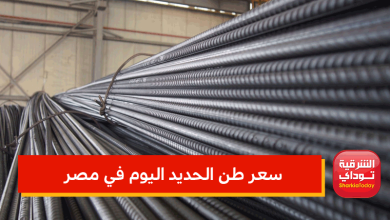 سعر طن الحديد اليوم في مصر