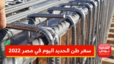 "مش هتصدق الأسعار الجديدة".. قفزة جنونية في سعر طن الحديد اليوم في مصر 2022 8 سعر طن الحديد اليوم في مصر 2022