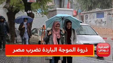 ذروة الموجة الباردة تضرب مصر اليوم 6 ذروة الموجة الباردة تضرب مصر اليوم