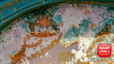 ضبط وإعدام 28 طن مخلل فاسد بالشرقية 4