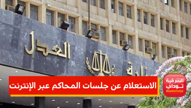 طريقة الاستعلام عن جلسات المحاكم عبر الإنترنت 11 الاستعلام عن جلسات المحاكم