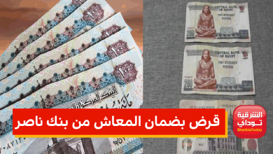 يصل لـ مليون جنيه.. قرض بضمان المعاش من بنك ناصر 2022 4 قرض المعاش