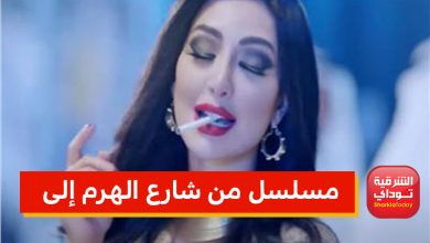 لإساءته للمرأة المصرية.. مطالبات لمنع عرض المسلسل الخليجي "من شارع الهرم إلى.." 2 من موقع