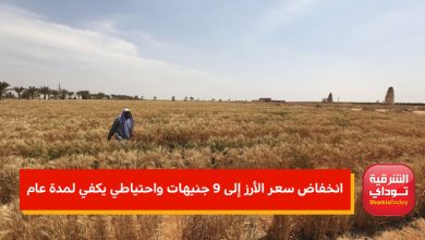 موقع 2 الرز