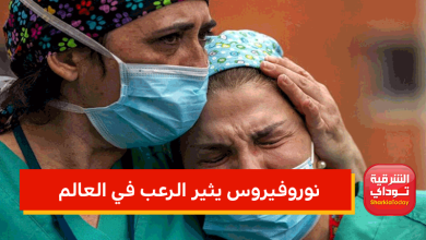 "يؤدي للوفاة خلال 3 أيام" تفشي نوروفيروس يثير الرعب في العالم.. و8 أعراض للإصابة به 7 نوروفيروس يثير الرعب في العالم