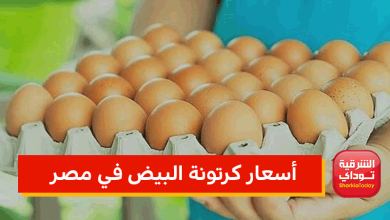 أسعار كرتونة البيض