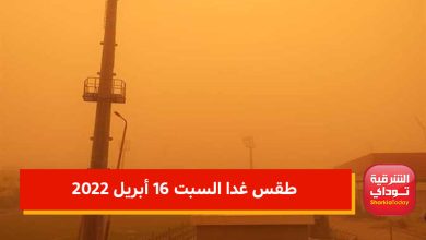 "هبوب رياح وموجة حارة" الأرصاد تعلن وتحذر من طقس غدا السبت 16 أبريل 1 5ثثقفاتنم