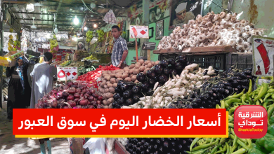 أسعار الخضار اليوم في سوق العبور.. استمرار جنون الطماطم وتراجع 8 أصناف أهمهم ورق العنب 8 أسعار الخضار اليوم في سوق العبور