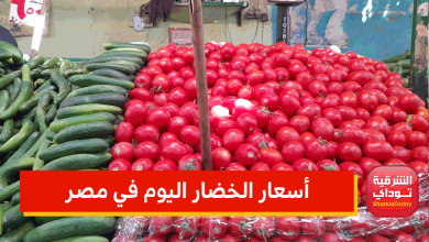 أسعار الخضار اليوم في مصر.. الطماطم تواصل الارتفاع وورق العنب يستقر عند 17 جنيه (إليك القائمة كاملة) 7 أسعار الخضار اليوم في مصر