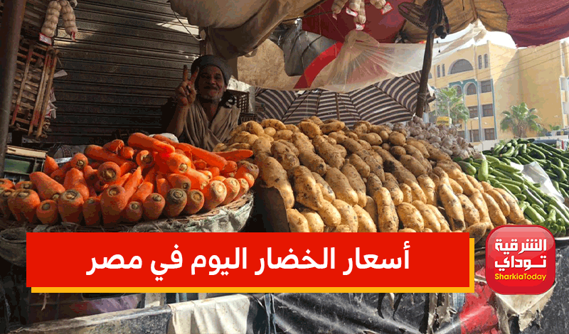 أسعار الخضار اليوم في مصر