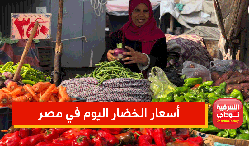 أسعار الخضار اليوم في مصر