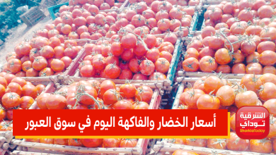 قفزة جديدة في الطماطم وانخفاض 6 أصناف.. أسعار الخضار والفاكهة اليوم في سوق العبور 6 أسعار الخضار والفاكهة اليوم في سوق العبور