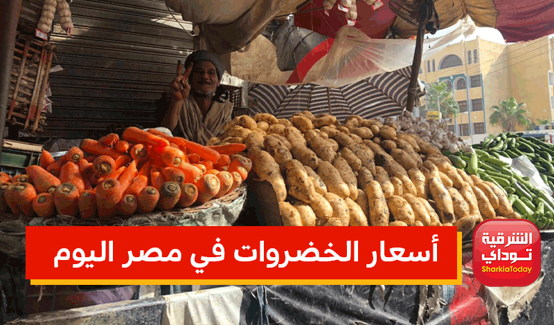 أسعار الخضروات في مصر اليوم