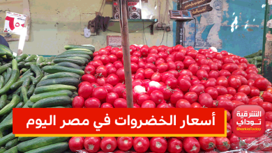 استمرار ارتفاع الطماطم وورق العنب.. أسعار الخضروات في مصر اليوم 8 أبريل 2022 سابع أيام رمضان 10 أسعار الخضروات في مصر اليوم