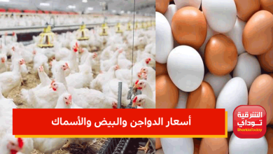 أسعار الدواجن والبيض والأسماك